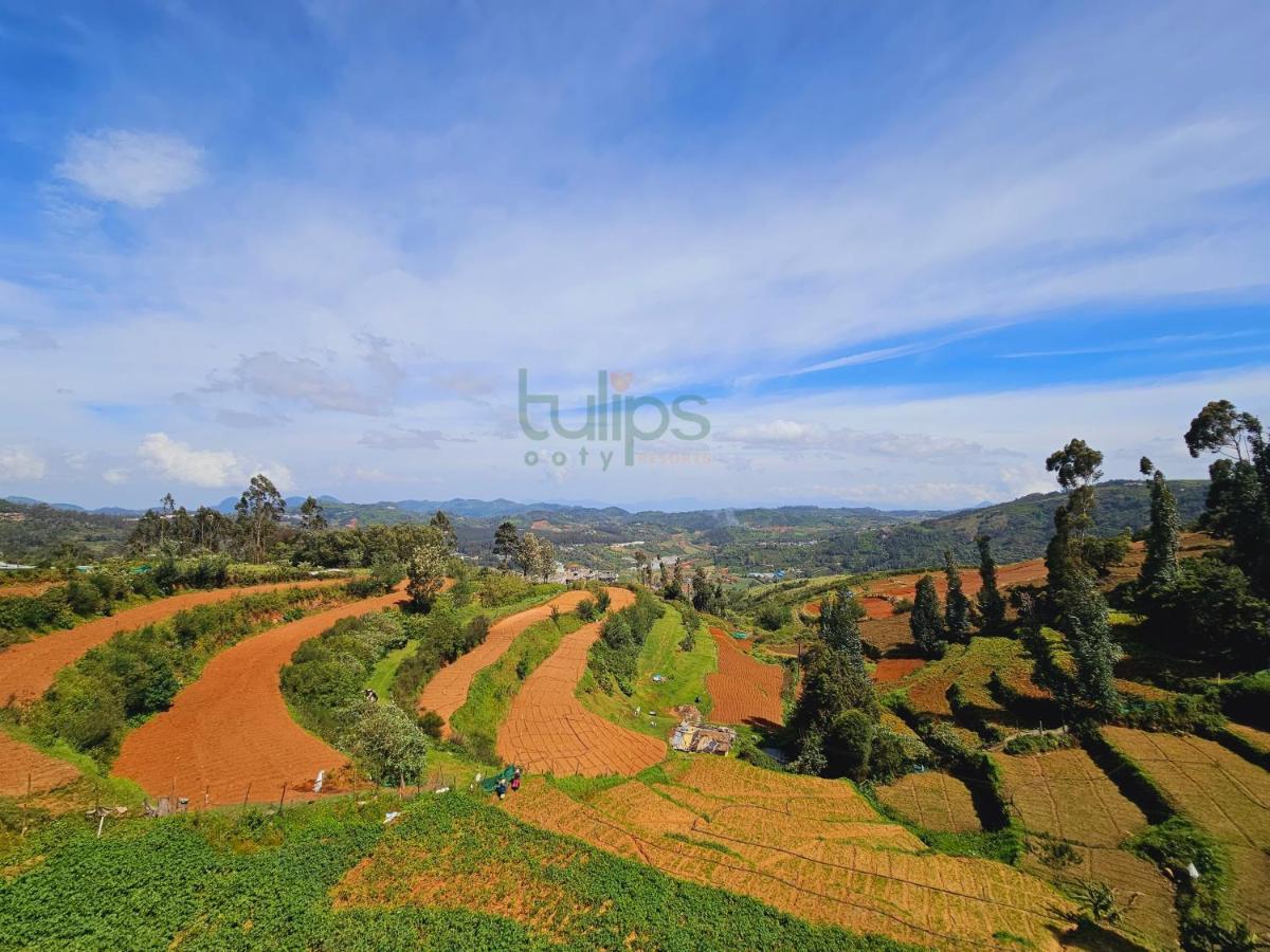 Tulips Village Resorts Утакаманд Экстерьер фото