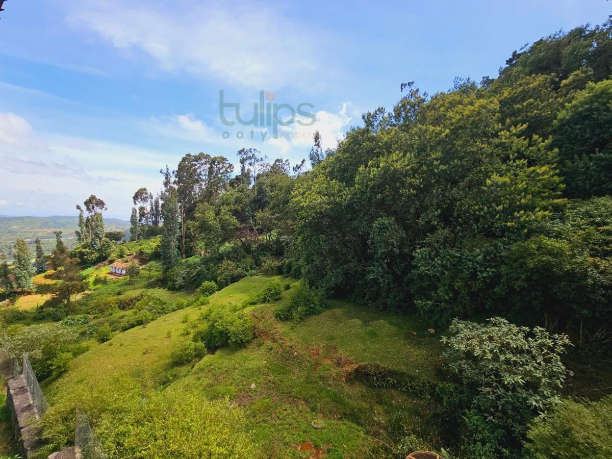 Tulips Village Resorts Утакаманд Экстерьер фото