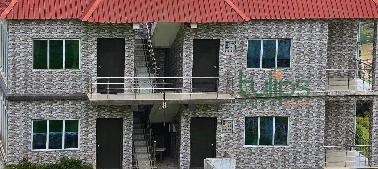 Tulips Village Resorts Утакаманд Экстерьер фото
